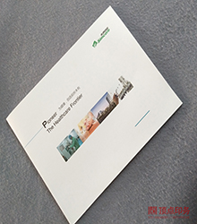 �� �ߙn��(hu��)��ӡˢ�S(ch��ng)��